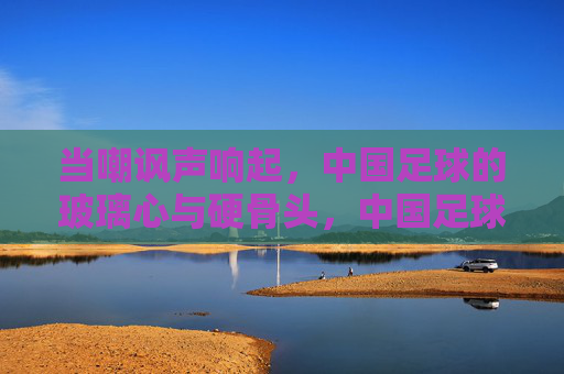 当嘲讽声响起,中国足球的玻璃心与硬骨头,中国足球,嘲讽声下的玻璃心与硬骨头