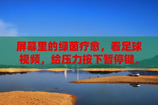 屏幕里的绿茵疗愈,看足球视频,给压力按下暂停键,屏幕绿茵疗愈,看足球,给压力按下暂停键