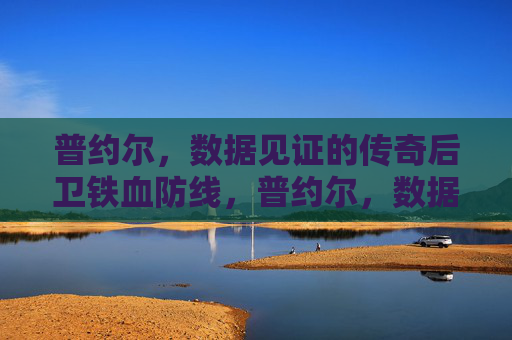 普约尔,数据见证的传奇后卫铁血防线,普约尔,数据见证的铁血防线传奇