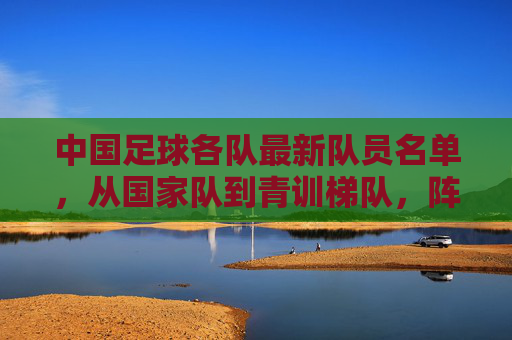 中国足球各队最新队员名单,从国家队到青训梯队,阵容解析与未来展望,中国足球各级队最新名单,从国家队到青训梯队阵容解析与未来展望
