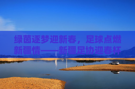 绿茵逐梦迎新春,足球点燃新疆情——新疆足协迎春杯足球赛激情开赛,绿茵逐梦迎新春 新疆足协迎春杯足球赛激情开赛