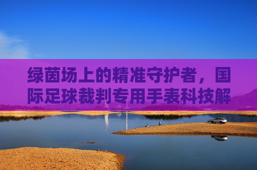 绿茵场上的精准守护者,国际足球裁判专用手表科技解析,精准守护绿茵场,国际足球裁判专用手表科技解析