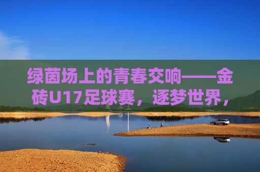 绿茵场上的青春交响——金砖U17足球赛,逐梦世界,共筑未来,金砖U17足球赛,绿茵青春交响,逐梦未来