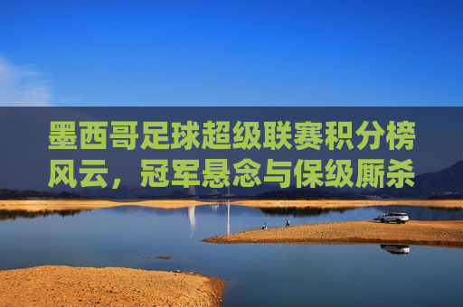 墨西哥足球超级联赛积分榜风云，冠军悬念与保级厮杀交织，墨西哥超积分榜双线激战，冠军悬念与保级厮杀交织