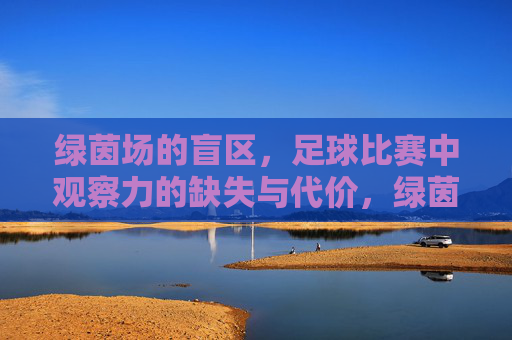 绿茵场的盲区,足球比赛中观察力的缺失与代价,绿茵场盲区,观察力缺失的代价