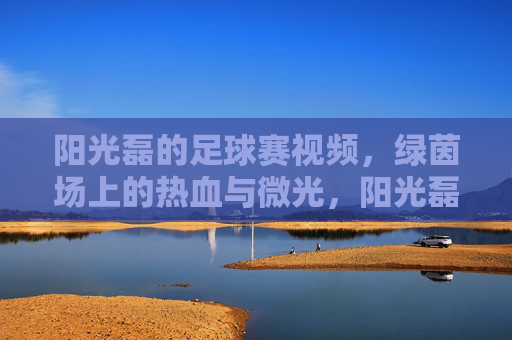 阳光磊的足球赛视频,绿茵场上的热血与微光,阳光磊,绿茵热血与微光