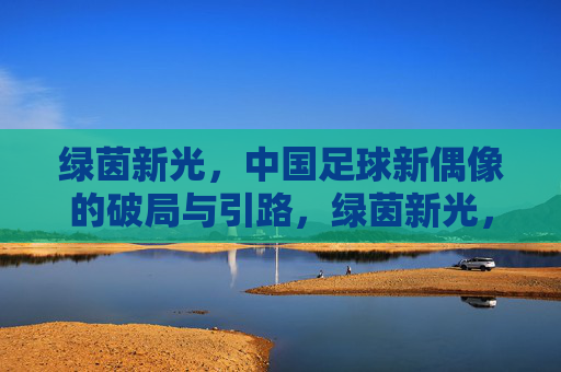 绿茵新光,中国足球新偶像的破局与引路,绿茵新光,中国足球新偶像的破局与引路