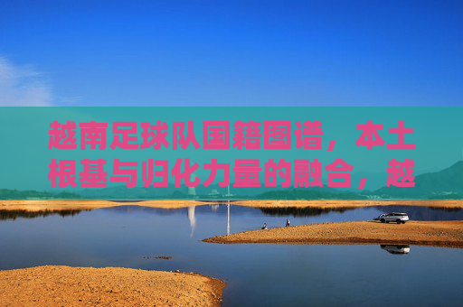 越南足球队国籍图谱,本土根基与归化力量的融合,越南足球队国籍图谱,本土根基与归化力量的融合