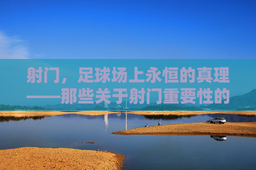 射门，足球场上永恒的真理——那些关于射门重要性的名言启示，射门，足球场上永恒的真理