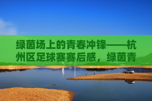 绿茵场上的青春冲锋——杭州区足球赛赛后感,绿茵青春冲锋
