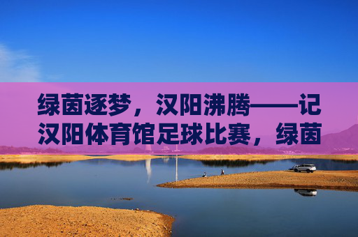 绿茵逐梦,汉阳沸腾——记汉阳体育馆足球比赛,绿茵逐梦,汉阳沸腾