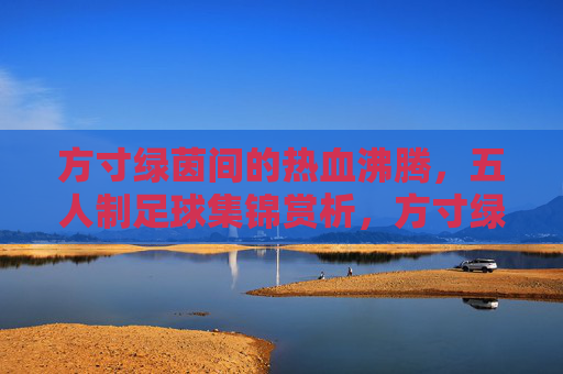 方寸绿茵间的热血沸腾,五人制足球集锦赏析,方寸绿茵热血沸,五人制足球集锦赏析