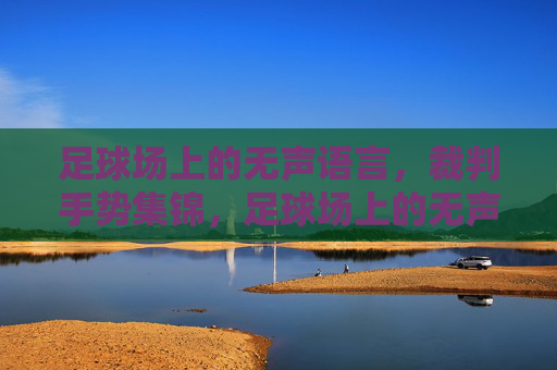 足球场上的无声语言，裁判手势集锦，足球场上的无声语言，裁判手势集锦