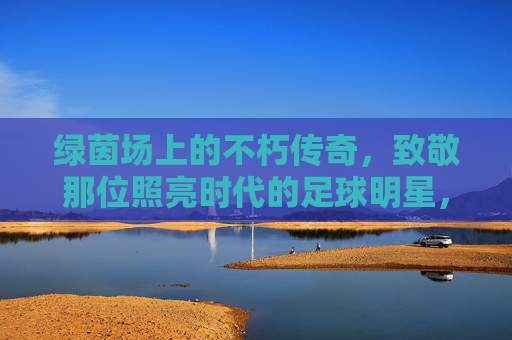 绿茵场上的不朽传奇，致敬那位照亮时代的足球明星，绿茵不朽传奇，照亮时代的足球星辰