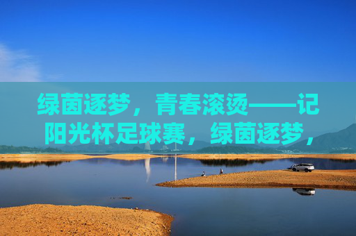 绿茵逐梦，青春滚烫——记阳光杯足球赛，绿茵逐梦，青春滚烫——阳光杯足球赛