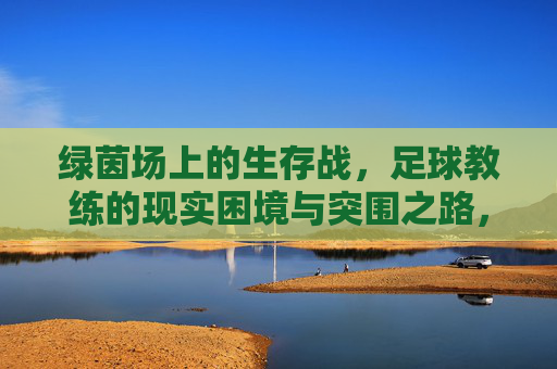 绿茵场上的生存战,足球教练的现实困境与突围之路,足球教练的生存战,现实困境与突围之路