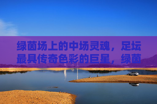 绿茵场上的中场灵魂，足坛最具传奇色彩的巨星，绿茵中场传奇，足坛灵魂巨星