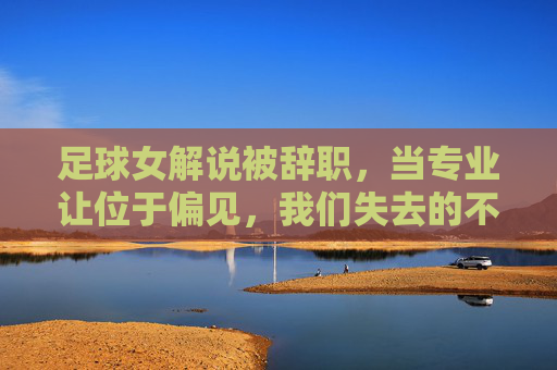 足球女解说被辞职,当专业让位于偏见,我们失去的不仅是一位声音