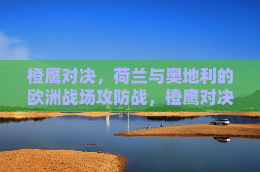 橙鹰对决,荷兰与奥地利的欧洲战场攻防战,橙鹰对决,荷兰与奥地利的欧洲战场攻防战