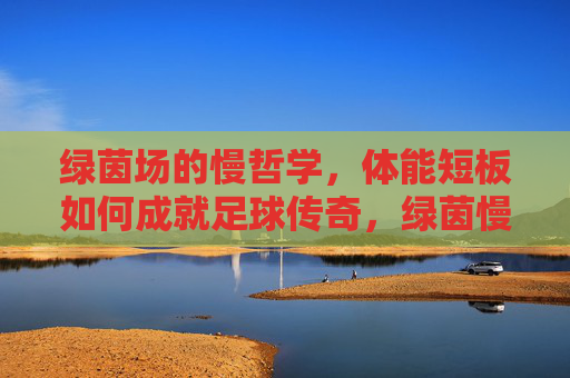 绿茵场的慢哲学,体能短板如何成就足球传奇,绿茵慢哲学,体能短板成就传奇