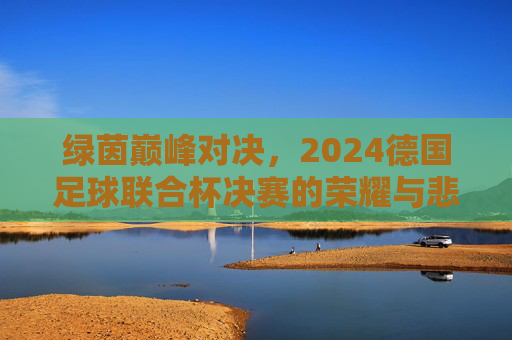 绿茵巅峰对决,2024德国足球联合杯决赛的荣耀与悲情,2024德国足球联合杯决赛,巅峰对决的荣耀与悲情