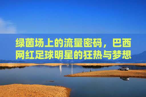绿茵场上的流量密码,巴西网红足球明星的狂热与梦想,巴西网红足球明星,绿茵场上的流量密码与狂热梦想