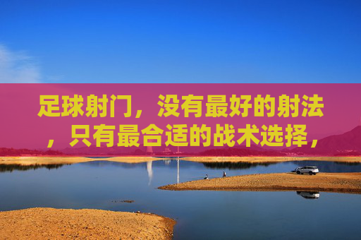 足球射门，没有最好的射法，只有最合适的战术选择，射门无最佳，战术择最适