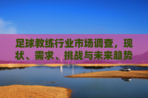 足球教练行业市场调查,现状、需求、挑战与未来趋势,足球教练行业市场调查,现状、需求、挑战与未来趋势