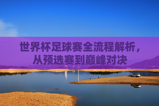 世界杯足球赛全流程解析,从预选赛到巅峰对决