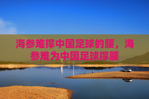 海参难撑中国足球的腰,海参难为中国足球撑腰