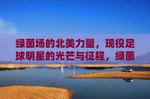 绿茵场的北美力量,现役足球明星的光芒与征程,绿茵北美,现役球星的光芒征程