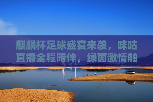 麒麟杯足球盛宴来袭,咪咕直播全程陪伴,绿茵激情触手可及,麒麟杯足球盛宴来袭 咪咕直播全程陪伴