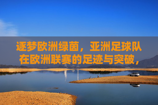 逐梦欧洲绿茵,亚洲足球队在欧洲联赛的足迹与突破,逐梦欧洲绿茵,亚洲足球队的足迹与突破