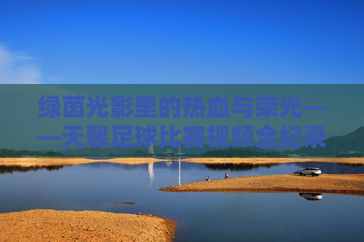 绿茵光影里的热血与荣光——天馨足球比赛视频全纪录，天馨足球，绿茵光影里的热血荣光