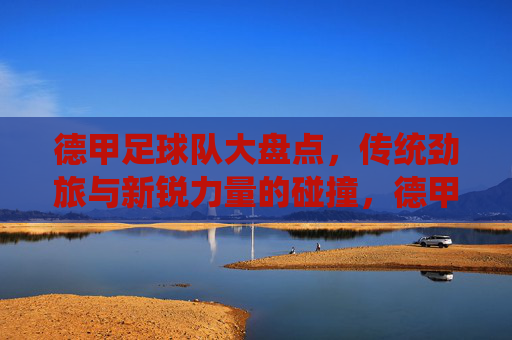 德甲足球队大盘点，传统劲旅与新锐力量的碰撞，德甲巡礼，传统劲旅与新锐的碰撞