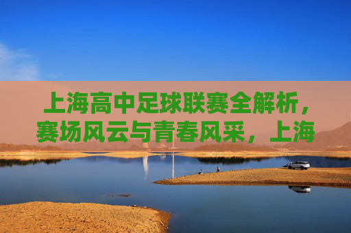 上海高中足球联赛全解析，赛场风云与青春风采，上海高中足球联赛，赛场风云映青春风采