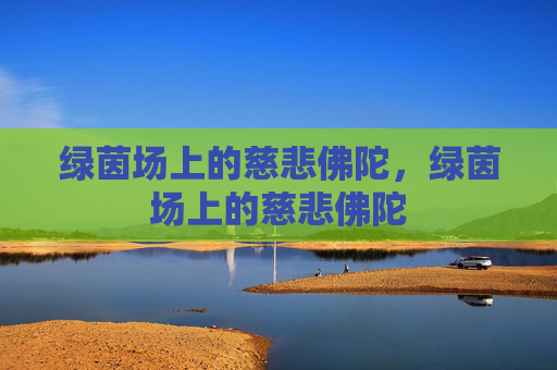 绿茵场上的慈悲佛陀，绿茵场上的慈悲佛陀