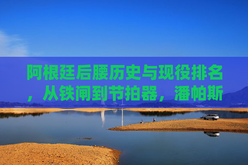 阿根廷后腰历史与现役排名,从铁闸到节拍器,潘帕斯的钢铁脊梁,阿根廷后腰历史现役排名,铁闸到节拍器的钢铁脊梁