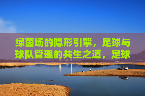 绿茵场的隐形引擎,足球与球队管理的共生之道,足球与球队管理的共生,绿茵场的隐形引擎