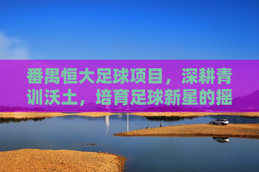 番禺恒大足球项目，深耕青训沃土，培育足球新星的摇篮，番禺恒大深耕青训沃土，铸就足球新星摇篮