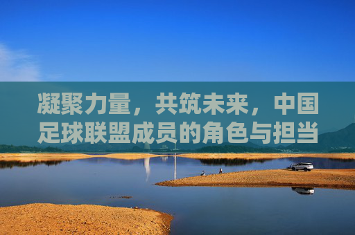 凝聚力量,共筑未来,中国足球联盟成员的角色与担当,凝聚力量共筑未来,中国足球联盟成员的角色与担当