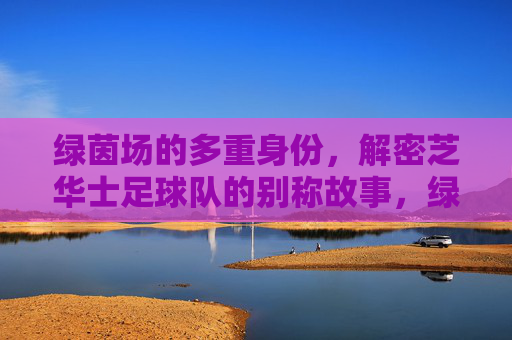 绿茵场的多重身份,解密芝华士足球队的别称故事,绿茵场多重身份,芝华士足球队别称解密