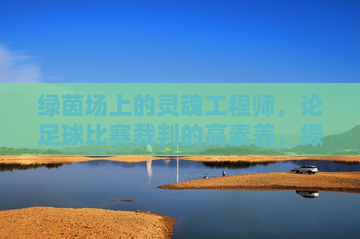 绿茵场上的灵魂工程师,论足球比赛裁判的高素养,绿茵场灵魂工程师,论足球裁判的高素养