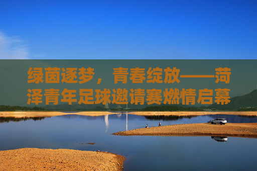 绿茵逐梦,青春绽放——菏泽青年足球邀请赛燃情启幕,菏泽青年足球邀请赛,绿茵逐梦,青春绽放