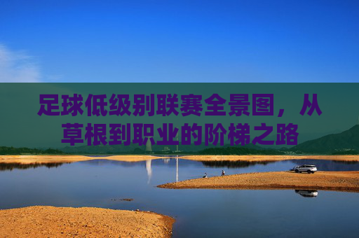 足球低级别联赛全景图,从草根到职业的阶梯之路