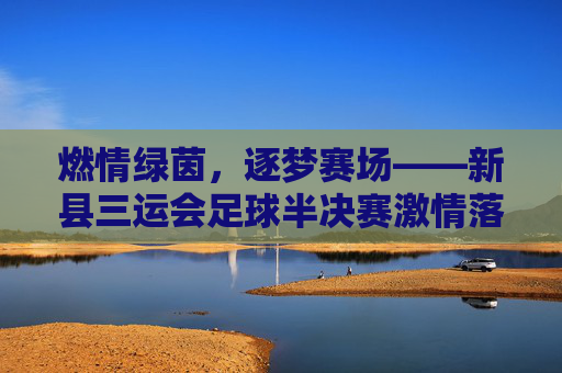 燃情绿茵,逐梦赛场——新县三运会足球半决赛激情落幕,新县三运会足球半决赛燃情落幕