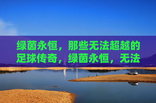 绿茵永恒，那些无法超越的足球传奇，绿茵永恒，无法超越的足球传奇