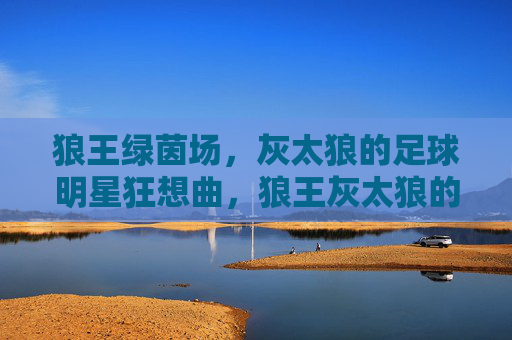 狼王绿茵场,灰太狼的足球明星狂想曲,狼王灰太狼的足球明星狂想曲