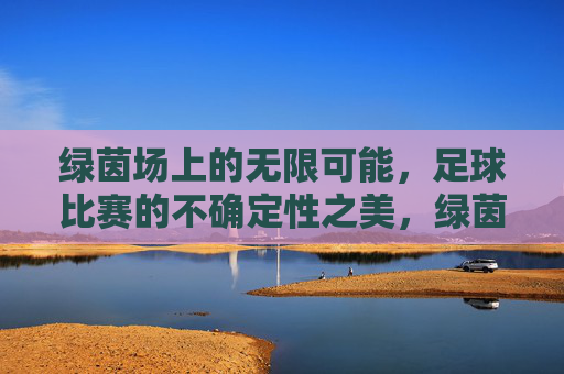 绿茵场上的无限可能，足球比赛的不确定性之美，绿茵场上的无限可能，足球比赛的不确定性之美