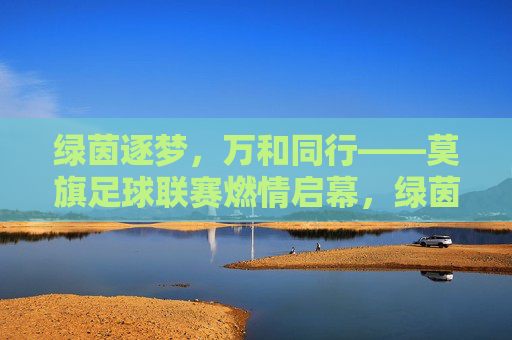 绿茵逐梦,万和同行——莫旗足球联赛燃情启幕,绿茵逐梦,莫旗足球联赛燃情启幕